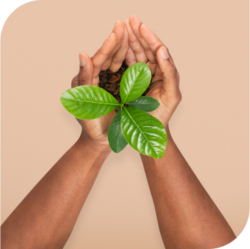 our objectives image